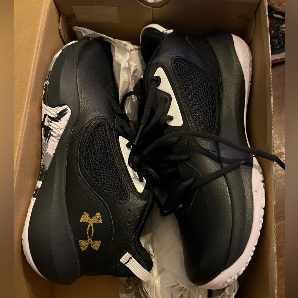 UA lockdown 6s